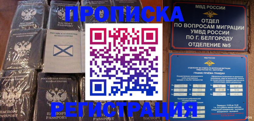 прописка гарантия в Чистополье
